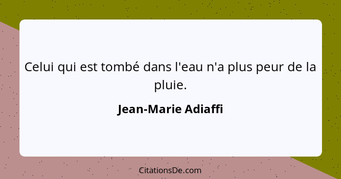 Celui qui est tombé dans l'eau n'a plus peur de la pluie.... - Jean-Marie Adiaffi