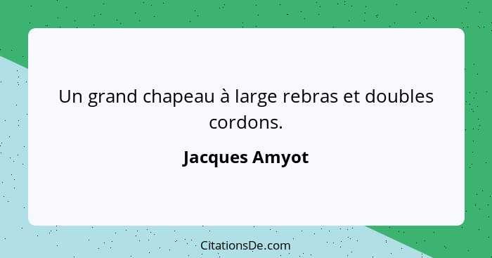 Un grand chapeau à large rebras et doubles cordons.... - Jacques Amyot