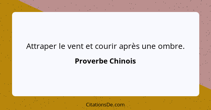 Attraper le vent et courir après une ombre.... - Proverbe Chinois