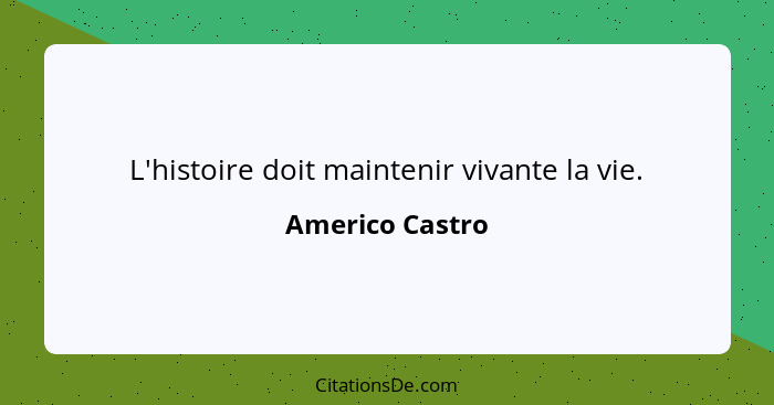 L'histoire doit maintenir vivante la vie.... - Americo Castro