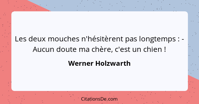 Les deux mouches n'hésitèrent pas longtemps : - Aucun doute ma chère, c'est un chien !... - Werner Holzwarth