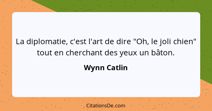 La diplomatie, c'est l'art de dire "Oh, le joli chien" tout en cherchant des yeux un bâton.... - Wynn Catlin