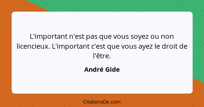 L'important n'est pas que vous soyez ou non licencieux. L'important c'est que vous ayez le droit de l'être.... - André Gide