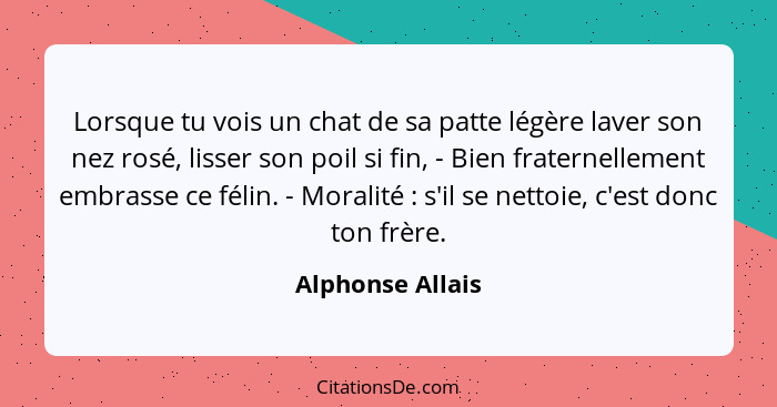 Lorsque tu vois un chat de sa patte légère laver son nez rosé, lisser son poil si fin, - Bien fraternellement embrasse ce félin. - M... - Alphonse Allais