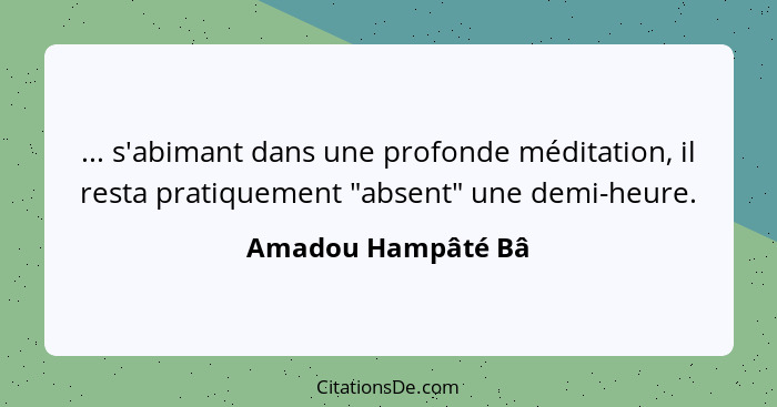 ... s'abimant dans une profonde méditation, il resta pratiquement "absent" une demi-heure.... - Amadou Hampâté Bâ