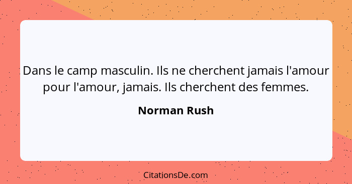 Dans le camp masculin. Ils ne cherchent jamais l'amour pour l'amour, jamais. Ils cherchent des femmes.... - Norman Rush