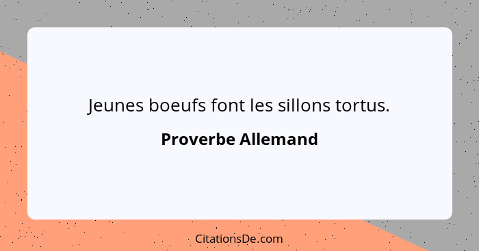 Jeunes boeufs font les sillons tortus.... - Proverbe Allemand