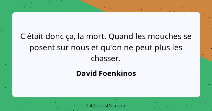 C'était donc ça, la mort. Quand les mouches se posent sur nous et qu'on ne peut plus les chasser.... - David Foenkinos