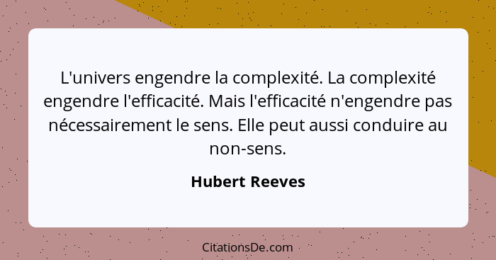 L'univers engendre la complexité. La complexité engendre l'efficacité. Mais l'efficacité n'engendre pas nécessairement le sens. Elle p... - Hubert Reeves