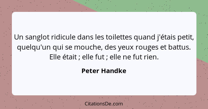 Un sanglot ridicule dans les toilettes quand j'étais petit, quelqu'un qui se mouche, des yeux rouges et battus. Elle était ; elle... - Peter Handke