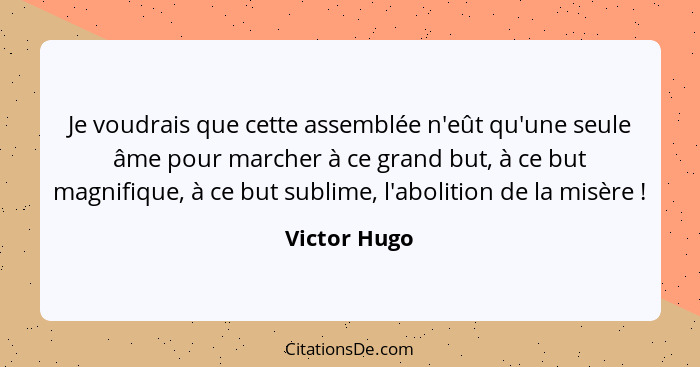 Je voudrais que cette assemblée n'eût qu'une seule âme pour marcher à ce grand but, à ce but magnifique, à ce but sublime, l'abolition d... - Victor Hugo