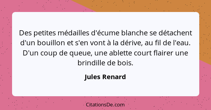 Des petites médailles d'écume blanche se détachent d'un bouillon et s'en vont à la dérive, au fil de l'eau. D'un coup de queue, une abl... - Jules Renard