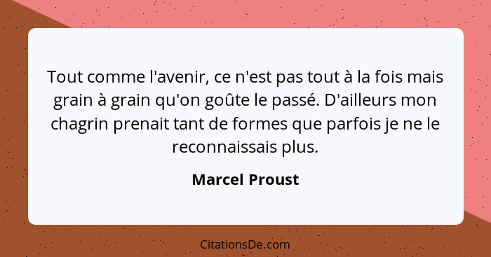 Tout comme l'avenir, ce n'est pas tout à la fois mais grain à grain qu'on goûte le passé. D'ailleurs mon chagrin prenait tant de forme... - Marcel Proust