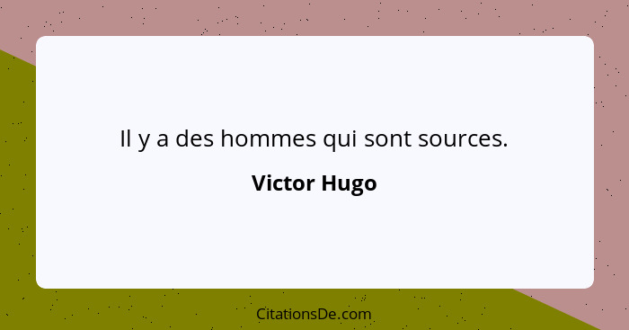 Il y a des hommes qui sont sources.... - Victor Hugo