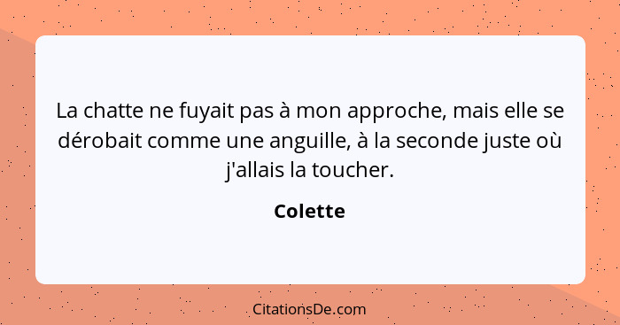 La chatte ne fuyait pas à mon approche, mais elle se dérobait comme une anguille, à la seconde juste où j'allais la toucher.... - Colette