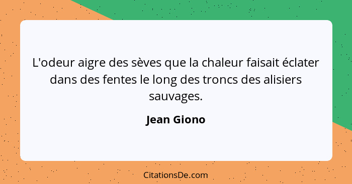 L'odeur aigre des sèves que la chaleur faisait éclater dans des fentes le long des troncs des alisiers sauvages.... - Jean Giono