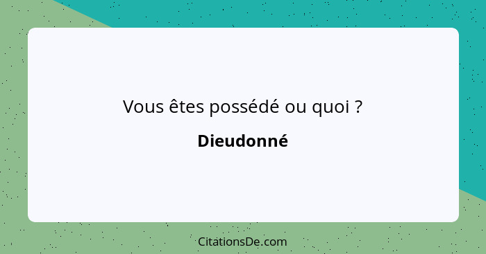 Vous êtes possédé ou quoi ?... - Dieudonné