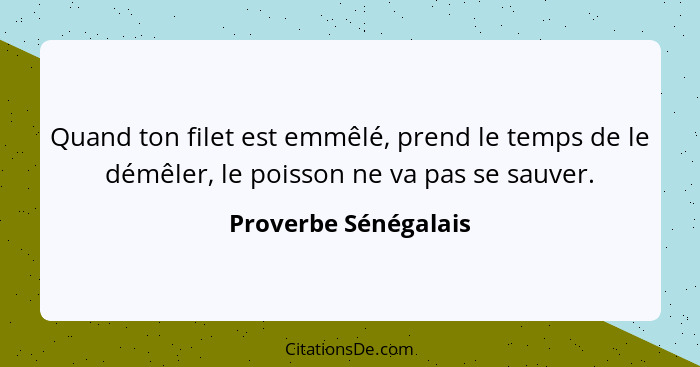 Quand ton filet est emmêlé, prend le temps de le démêler, le poisson ne va pas se sauver.... - Proverbe Sénégalais