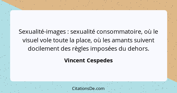 Sexualité-images : sexualité consommatoire, où le visuel vole toute la place, où les amants suivent docilement des règles impo... - Vincent Cespedes
