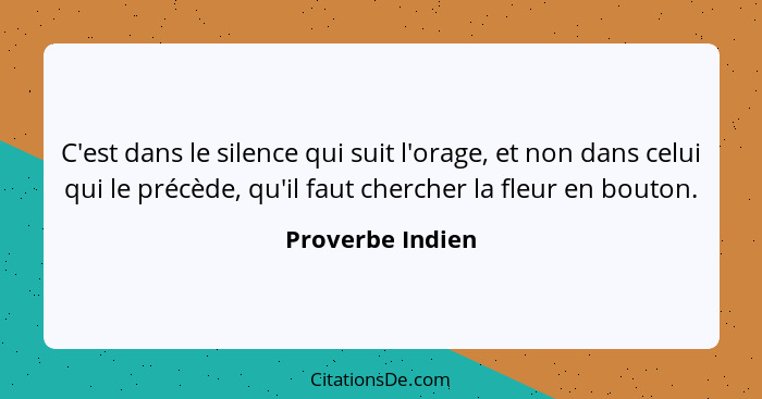 C'est dans le silence qui suit l'orage, et non dans celui qui le précède, qu'il faut chercher la fleur en bouton.... - Proverbe Indien