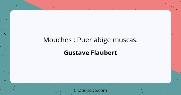 Mouches : Puer abige muscas.... - Gustave Flaubert