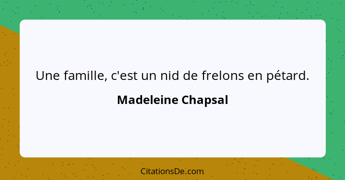 Une famille, c'est un nid de frelons en pétard.... - Madeleine Chapsal