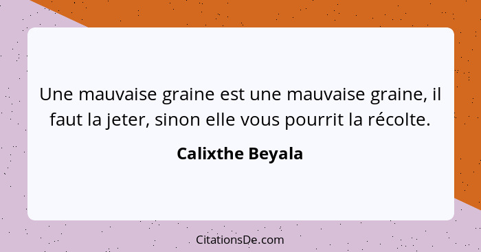 Calixthe Beyala Une Mauvaise Graine Est Une Mauvaise Grain