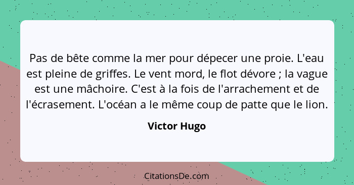 Pas de bête comme la mer pour dépecer une proie. L'eau est pleine de griffes. Le vent mord, le flot dévore ; la vague est une mâcho... - Victor Hugo