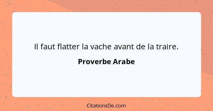 Il faut flatter la vache avant de la traire.... - Proverbe Arabe