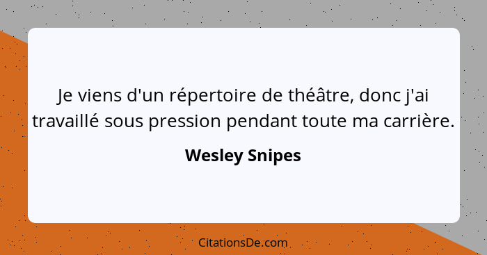 Je viens d'un répertoire de théâtre, donc j'ai travaillé sous pression pendant toute ma carrière.... - Wesley Snipes