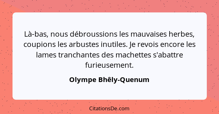 Là-bas, nous débroussions les mauvaises herbes, coupions les arbustes inutiles. Je revois encore les lames tranchantes des mache... - Olympe Bhêly-Quenum