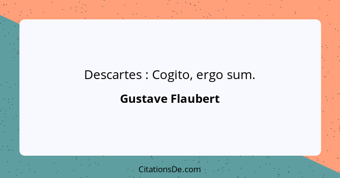 Descartes : Cogito, ergo sum.... - Gustave Flaubert