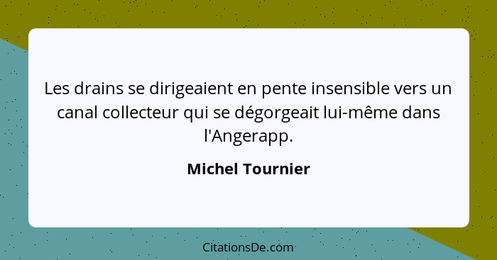 Les drains se dirigeaient en pente insensible vers un canal collecteur qui se dégorgeait lui-même dans l'Angerapp.... - Michel Tournier