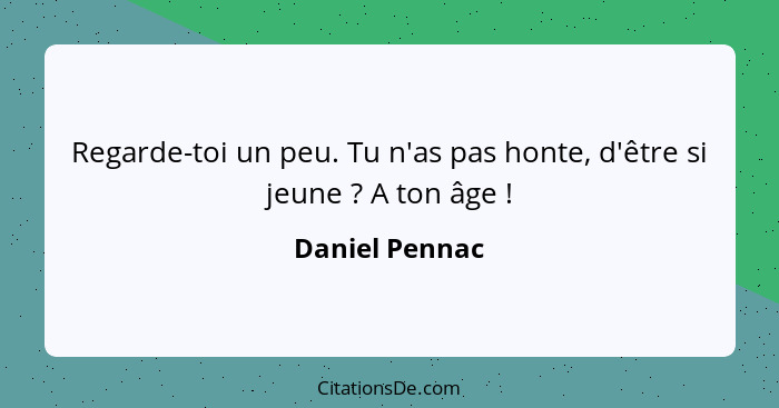 Regarde-toi un peu. Tu n'as pas honte, d'être si jeune ? A ton âge !... - Daniel Pennac