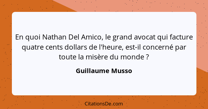 En quoi Nathan Del Amico, le grand avocat qui facture quatre cents dollars de l'heure, est-il concerné par toute la misère du monde&... - Guillaume Musso