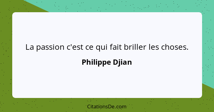 La passion c'est ce qui fait briller les choses.... - Philippe Djian