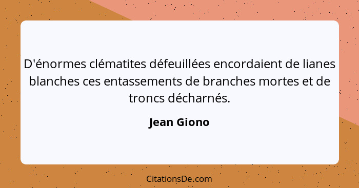 D'énormes clématites défeuillées encordaient de lianes blanches ces entassements de branches mortes et de troncs décharnés.... - Jean Giono