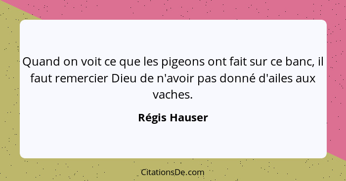 Quand on voit ce que les pigeons ont fait sur ce banc, il faut remercier Dieu de n'avoir pas donné d'ailes aux vaches.... - Régis Hauser