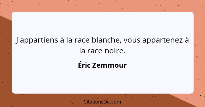 J'appartiens à la race blanche, vous appartenez à la race noire.... - Éric Zemmour