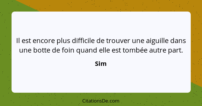 Il est encore plus difficile de trouver une aiguille dans une botte de foin quand elle est tombée autre part.... - Sim