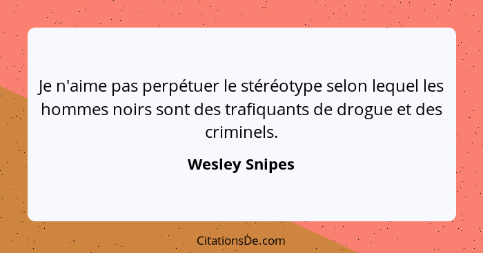 Je n'aime pas perpétuer le stéréotype selon lequel les hommes noirs sont des trafiquants de drogue et des criminels.... - Wesley Snipes