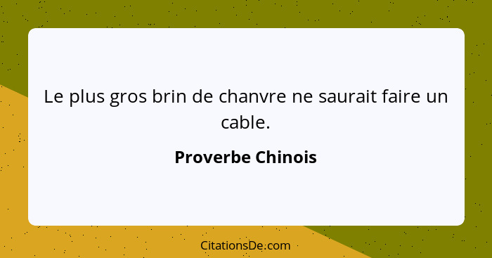 Le plus gros brin de chanvre ne saurait faire un cable.... - Proverbe Chinois