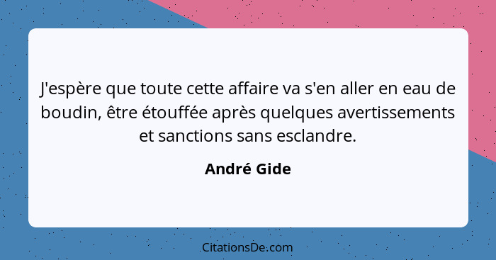 J'espère que toute cette affaire va s'en aller en eau de boudin, être étouffée après quelques avertissements et sanctions sans esclandre.... - André Gide