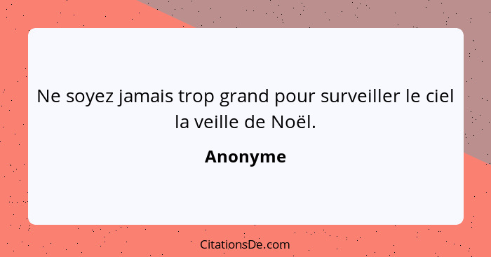 Ne soyez jamais trop grand pour surveiller le ciel la veille de Noël.... - Anonyme