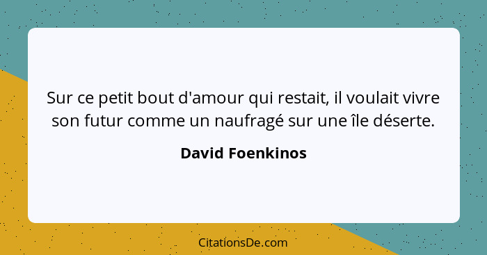 Sur ce petit bout d'amour qui restait, il voulait vivre son futur comme un naufragé sur une île déserte.... - David Foenkinos