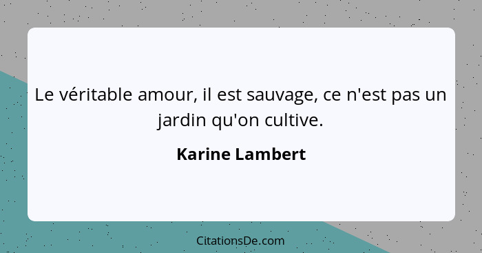 Le véritable amour, il est sauvage, ce n'est pas un jardin qu'on cultive.... - Karine Lambert