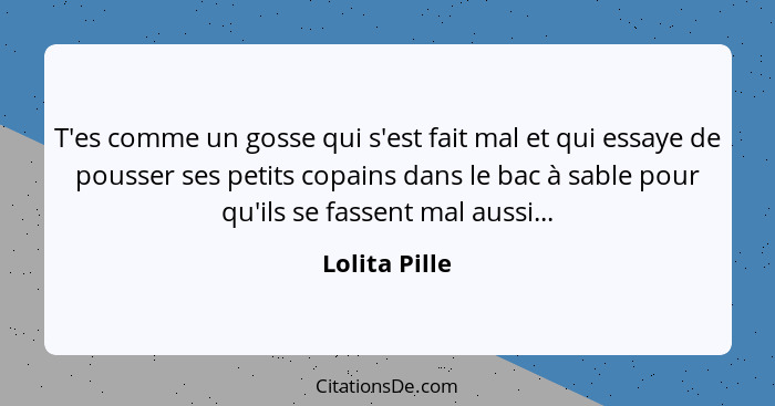 T'es comme un gosse qui s'est fait mal et qui essaye de pousser ses petits copains dans le bac à sable pour qu'ils se fassent mal aussi... - Lolita Pille