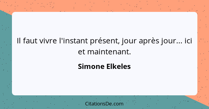 Il faut vivre l'instant présent, jour après jour... ici et maintenant.... - Simone Elkeles