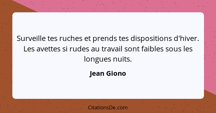 Surveille tes ruches et prends tes dispositions d'hiver. Les avettes si rudes au travail sont faibles sous les longues nuits.... - Jean Giono