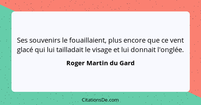 Ses souvenirs le fouaillaient, plus encore que ce vent glacé qui lui tailladait le visage et lui donnait l'onglée.... - Roger Martin du Gard